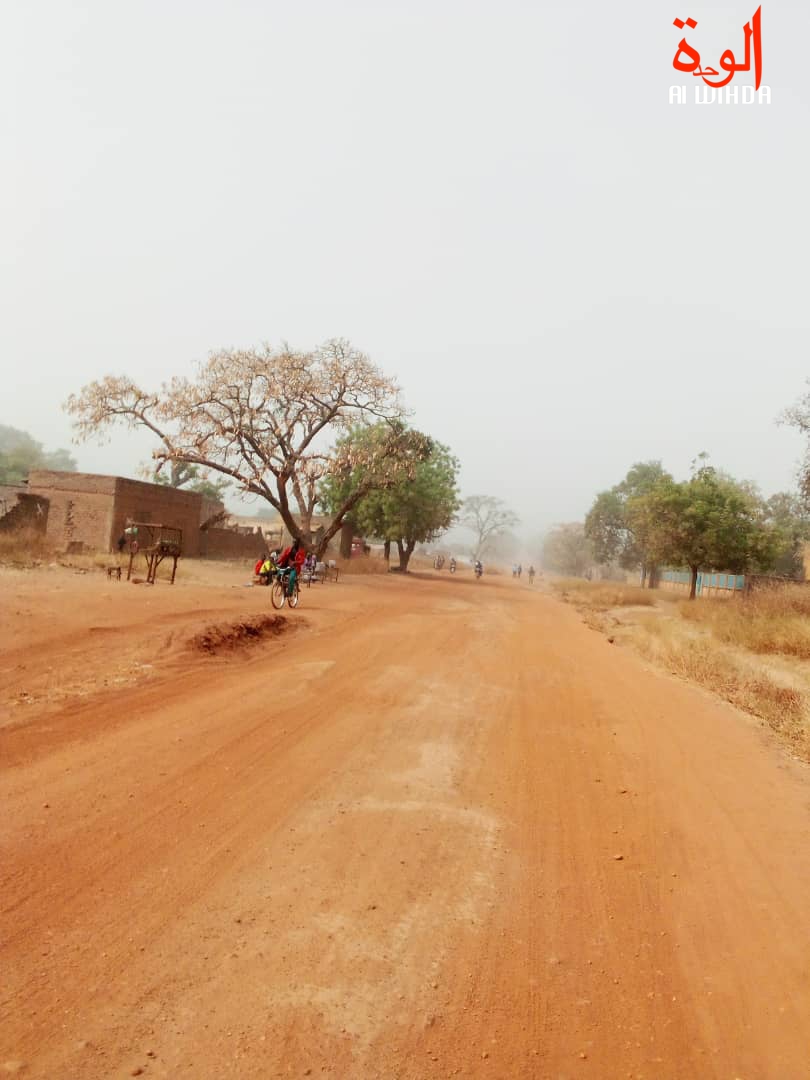 La ville de Pala, chef-lieu du Mayo Kebbi Ouest. © Foka Mapagne/Alwihda Info