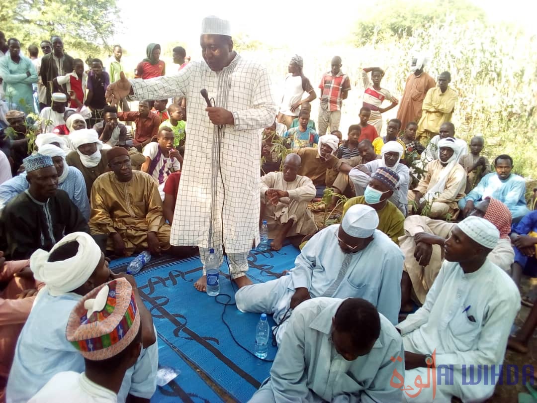 Tchad : des troupeaux d'éléphants font des dégâts à Baltram. © Mbainaissem Gédéon Mbeïbadoum/Alwihda Info