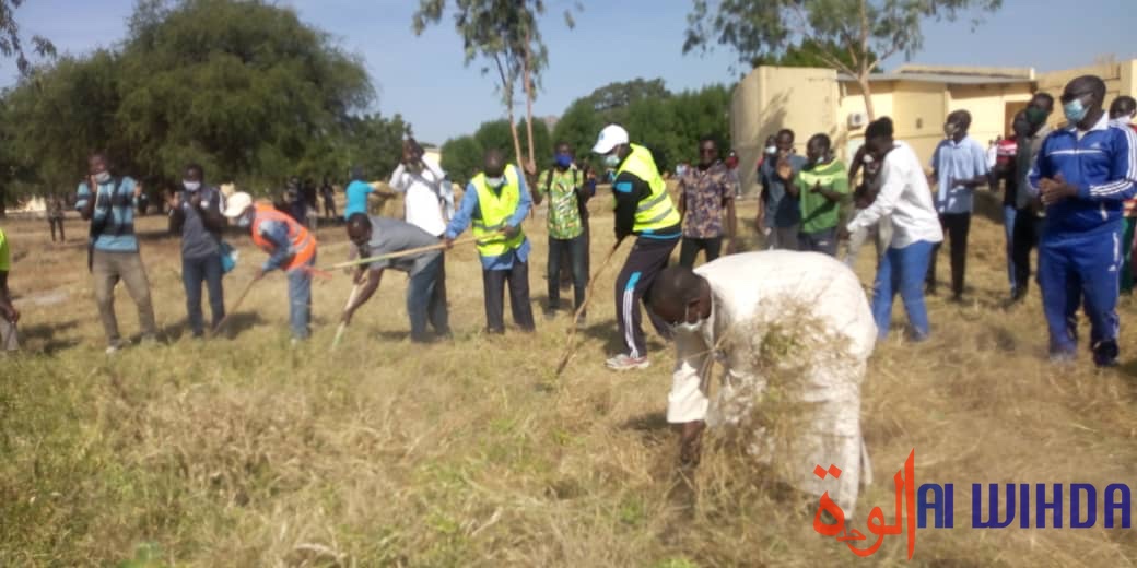 Tchad : une journée citoyenne de salubrité à l'Université polytechnique de Mongo