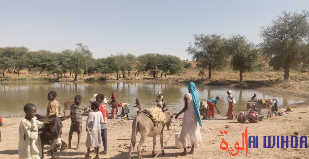 Tchad : le manque d'eau potable préoccupe les habitants de Koubeygou, au Sila