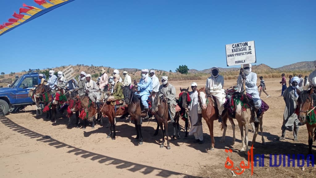 Tchad : la fête de la femme rurale célébrée dans la ferveur au Sila