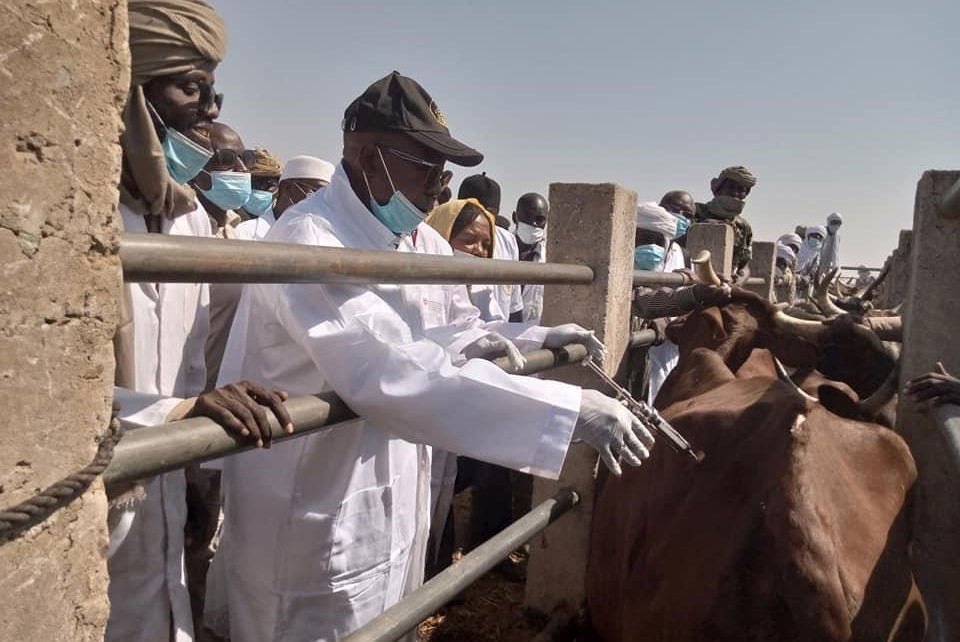 Tchad : La campagne de vaccination contre la peste et la péripneumonie lancée