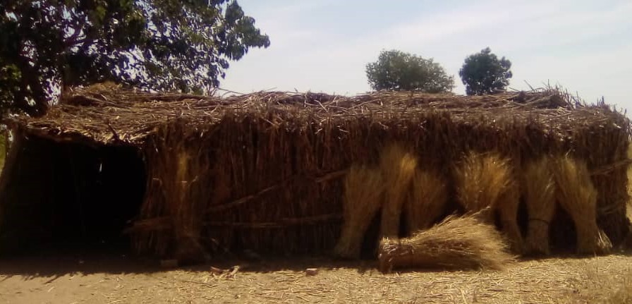 Tchad : Le CEG de Djaitou n’a que 73 filles sur les 400 élèves