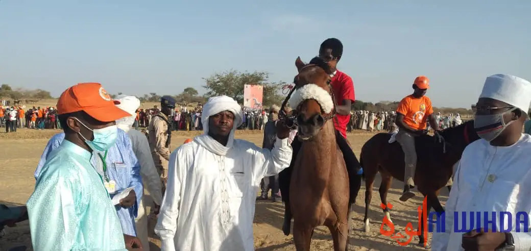 Tchad : "La caravane des éleveurs" lance une compétition hippique