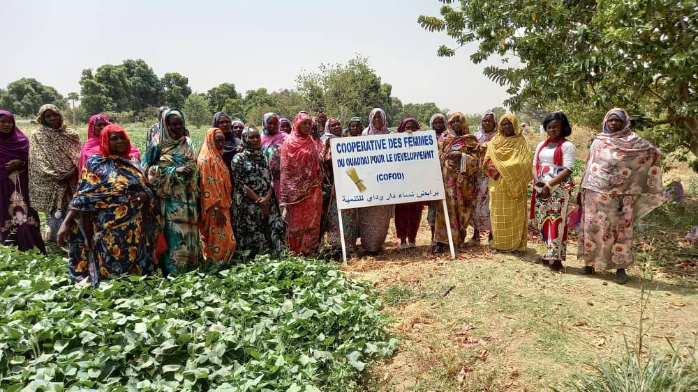 Tchad : des femmes à l'œuvre pour la survie de leur coopérative au Ouaddaï