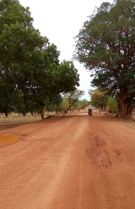 Tchad : le bitumage de la route Kelo-Pala arrêté pour manque de financement