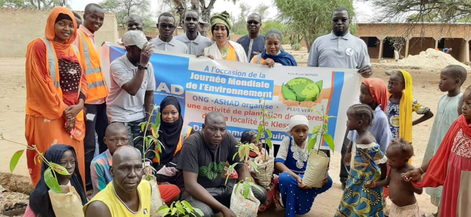 Tchad : l’ONG ASHAD plante des arbres dans 50 ménages à Klessoum