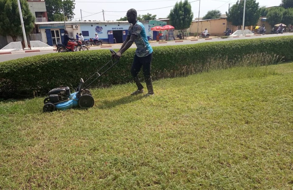 Tchad : fleuriste, un métier qui nourrit bien son homme