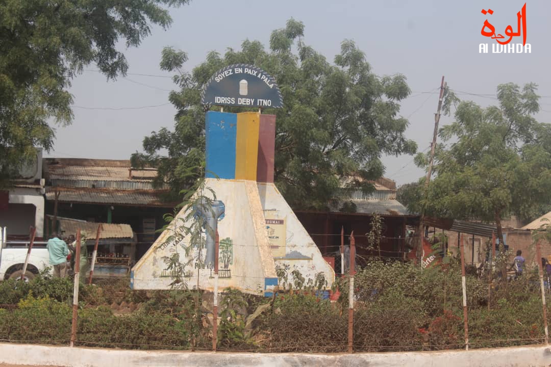 Tchad : pénurie d'eau dans la ville de Pala depuis quelques jours