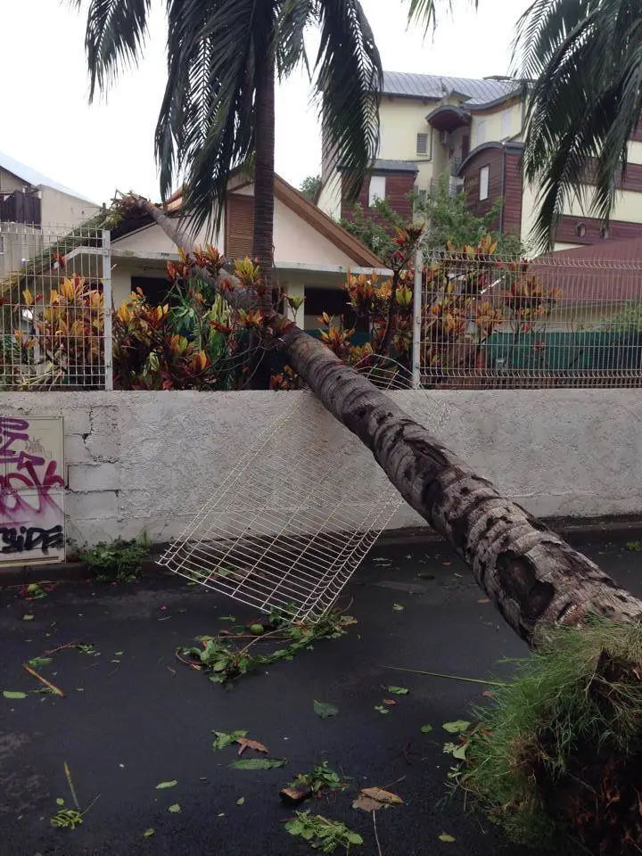 Cyclone-La Réunion : L'unique tchadien de l’Île, indemne, témoigne