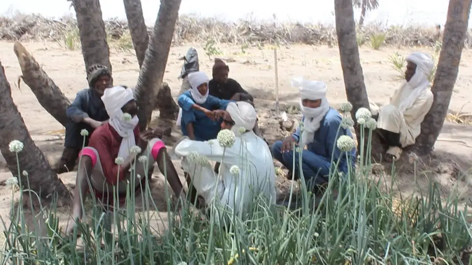 Tchad : au Kanem, Action contre la Faim redonne de l’espoir aux populations