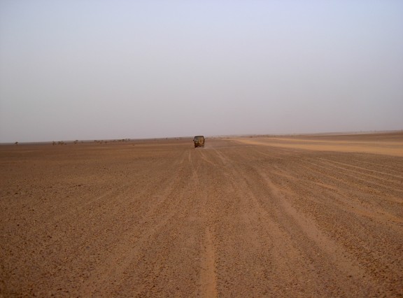 Sale temps pour le polisario et sa marraine