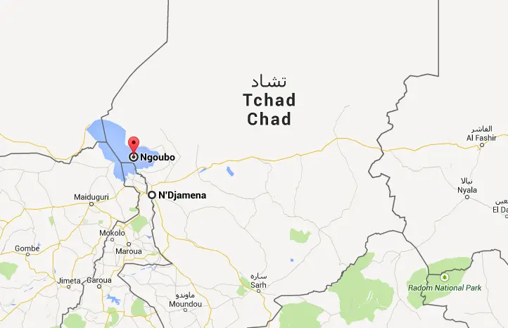 Tchad : Boko Haram attaque une localité, 10 morts dont le chef du village