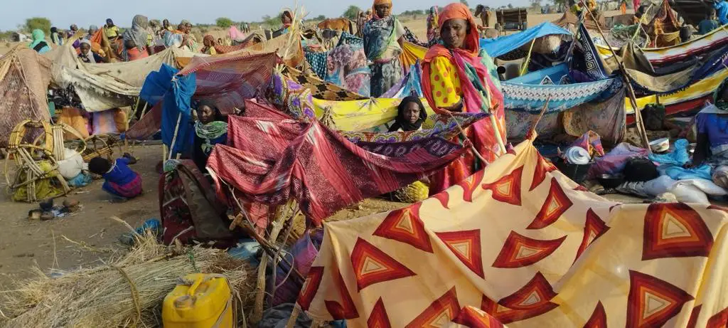 Tchad : le Japon soutient l’UNICEF pour la réponse à la crise humanitaire