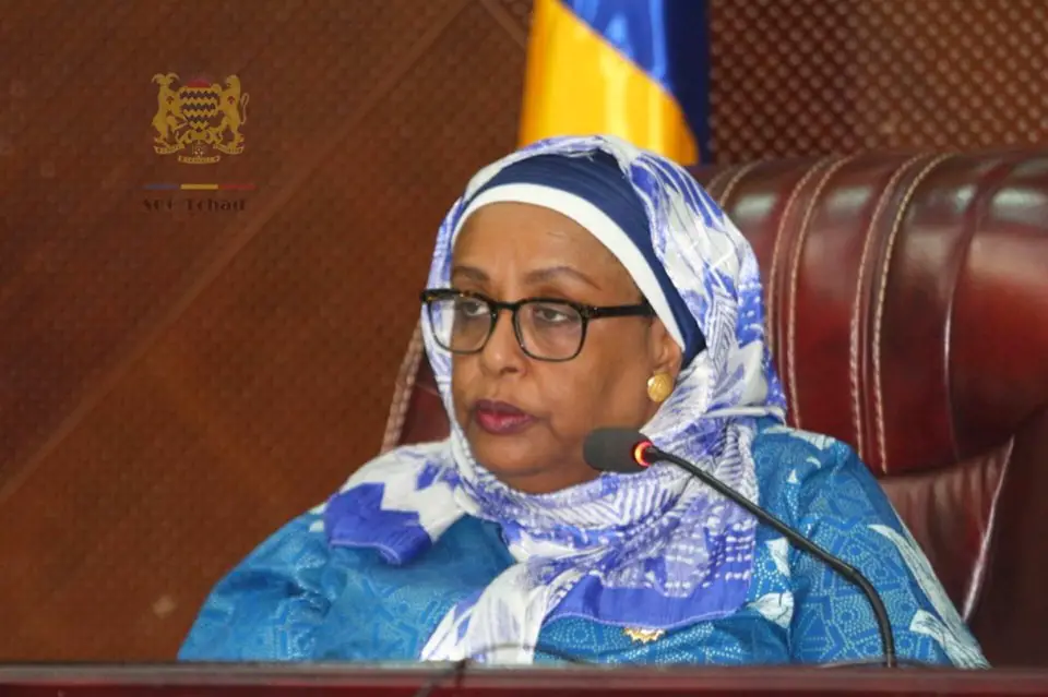 Tchad – Retour à l’ordre constitutionnel : Vers la création de l’Agence Nationale de Gestion des Elections