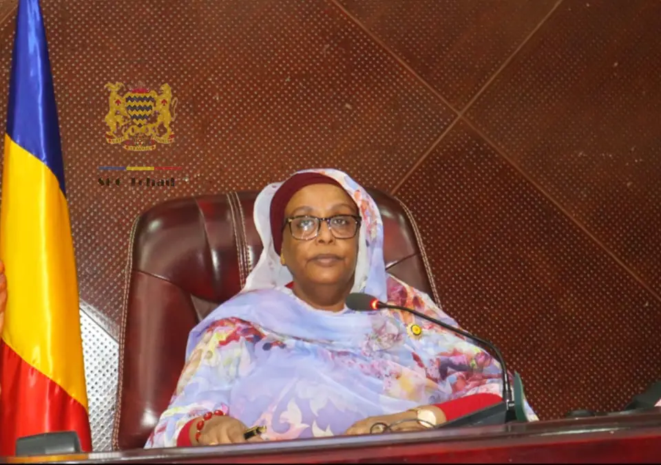 Tchad : adoption du projet de loi portant ratification de la Convention de l'UAT