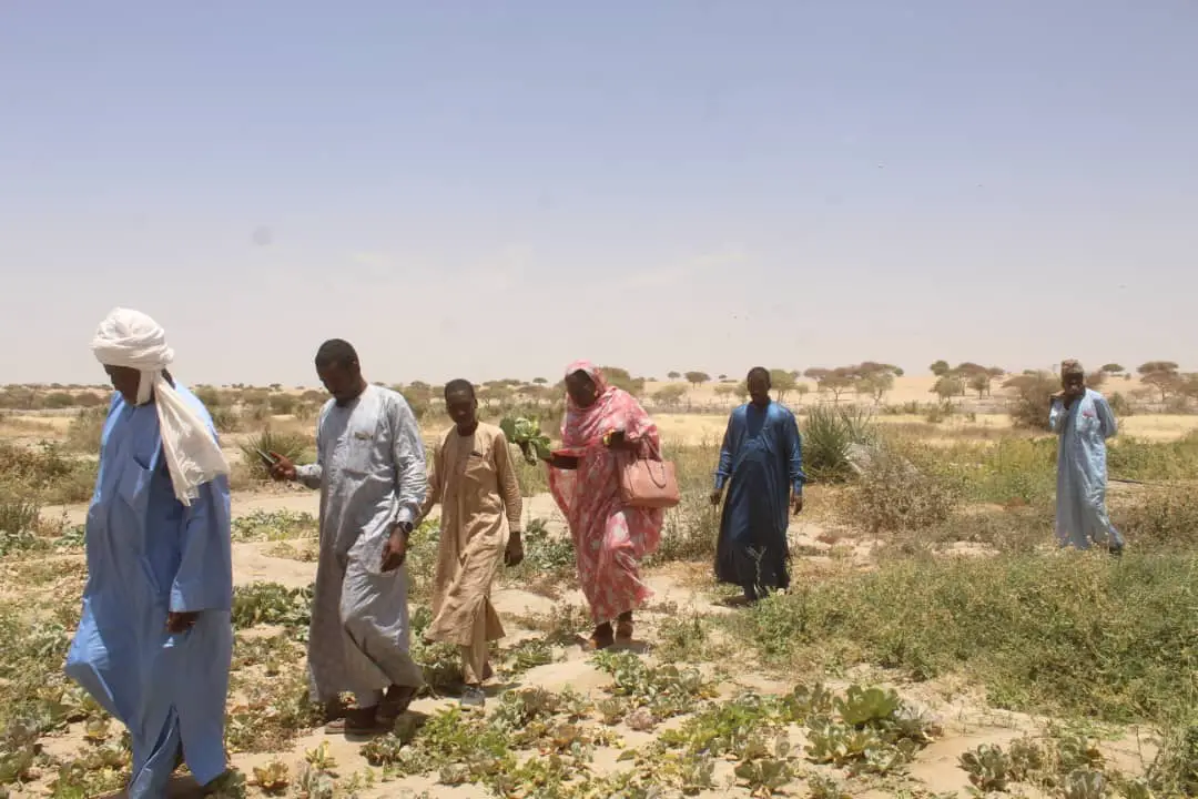 Tchad : visite d'inspection des organisations provisoirement retenues par le FSE