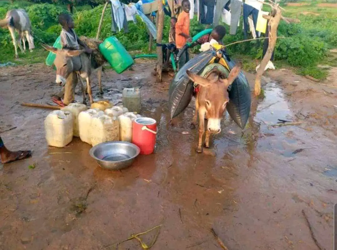 Tchad : au Sila, la population vit une situation critique due au manque d'eau potable