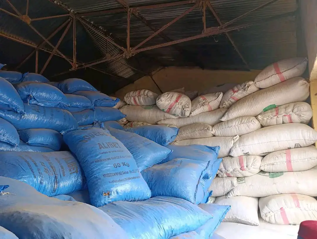 Tchad : le gouvernement lance la distribution d’aliments pour bétail au Batha