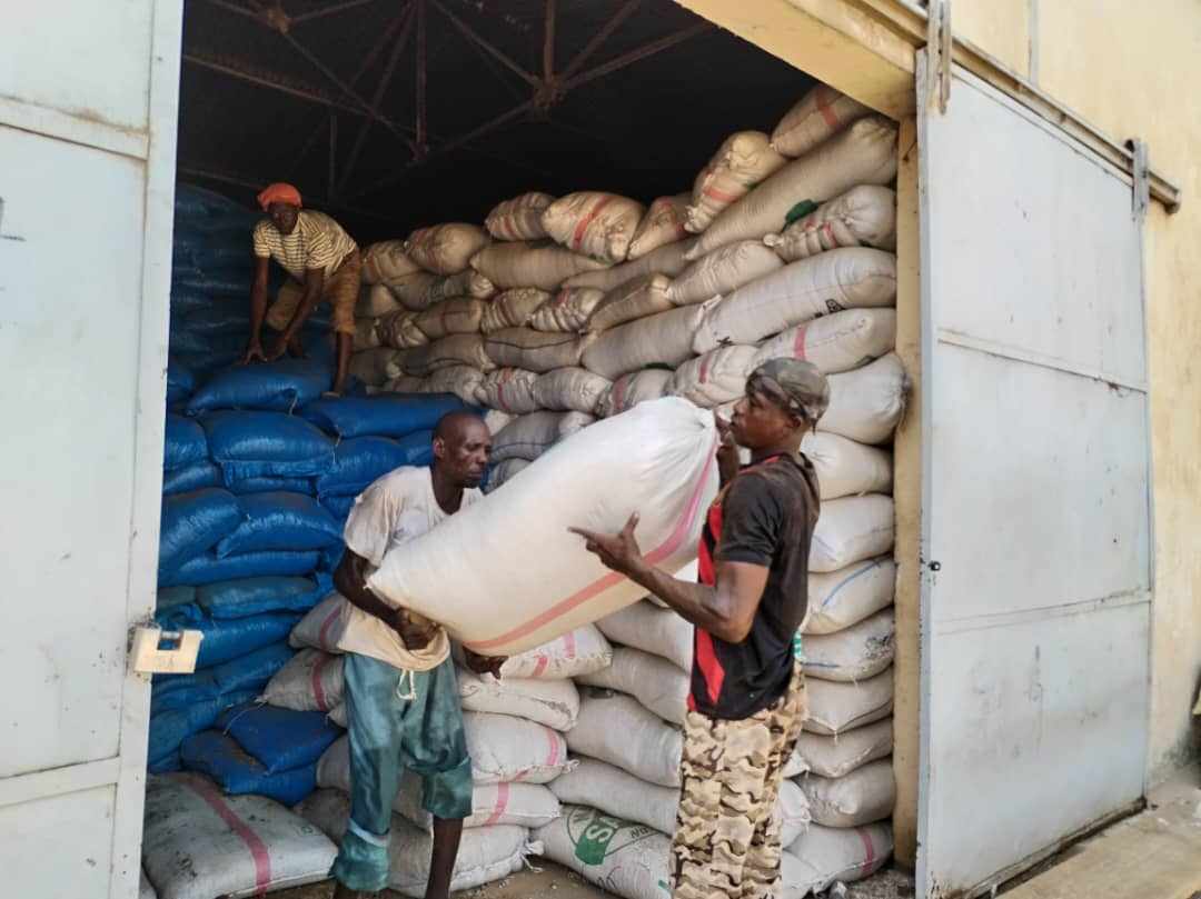 Tchad : à Ati, distribution des aliments pour bétail dans le département du Batha Ouest