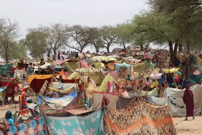 Image : UNHCR Tchad