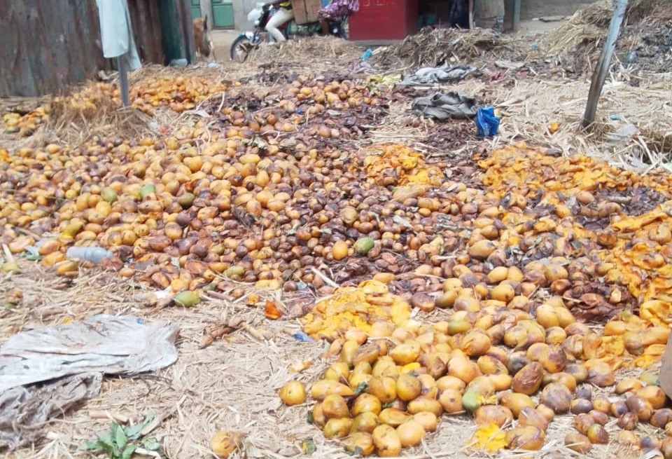 Tchad : le manque d'unités de transformation des fruits contribue au gaspillage