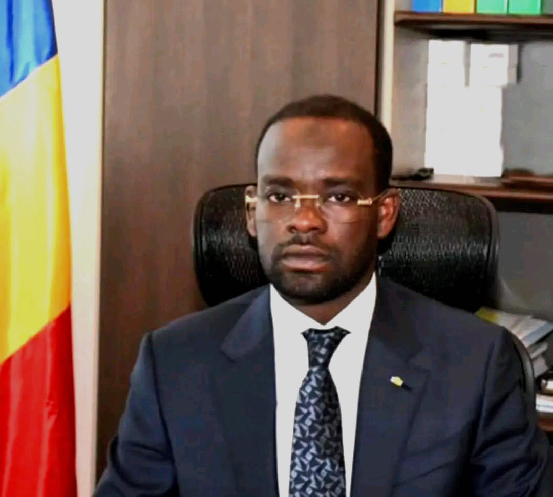 Tchad : le ministre de l'Environnement suspend les autorisations de défrichement jusqu'à nouvel ordre