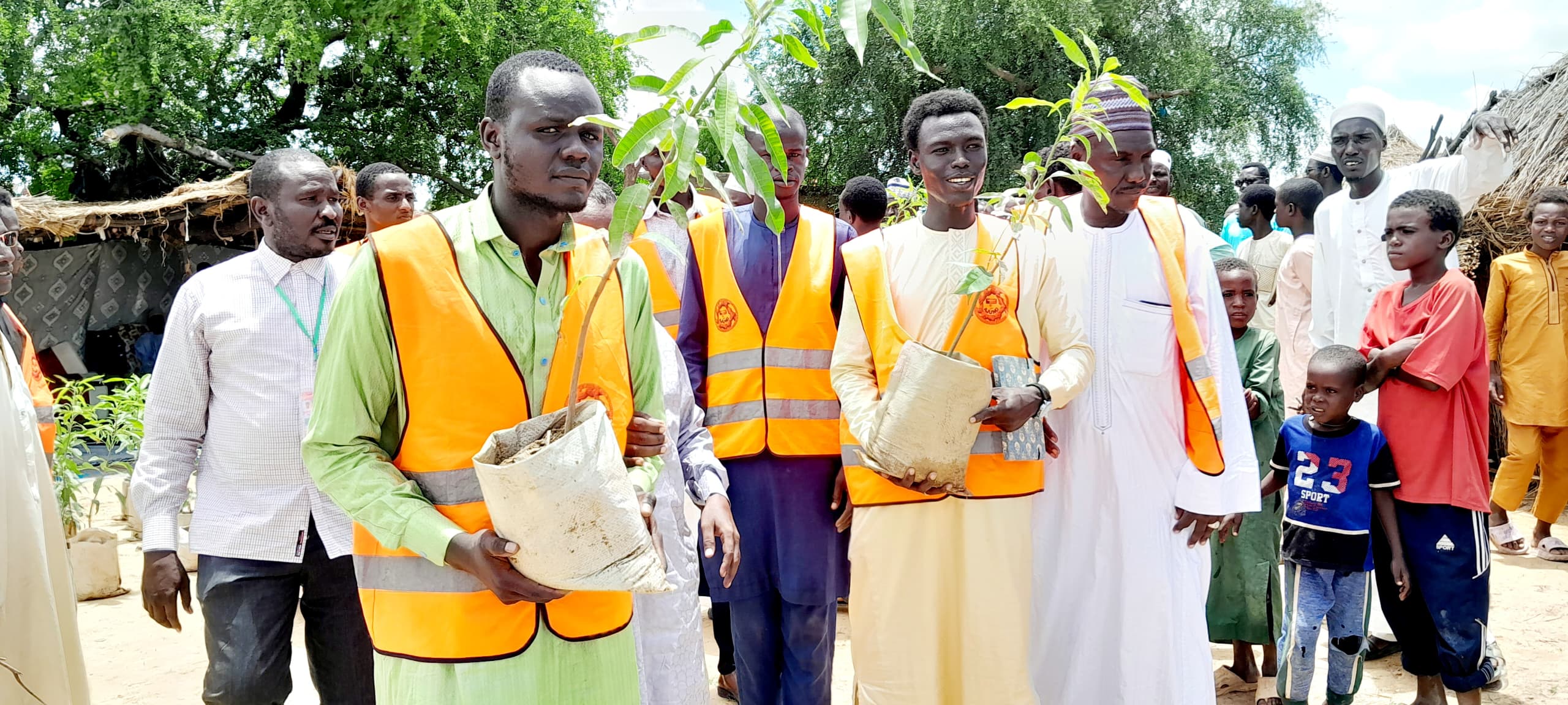 Tchad : l'AJUNG mène une opération de plantation d'arbres contre le changement climatique