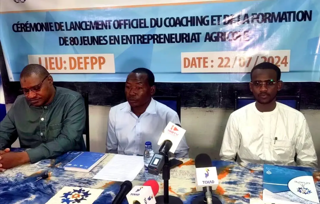 Tchad : 80 jeunes se lancent dans l'entrepreneuriat agricole grâce à l'ONAPE et à l'OIT