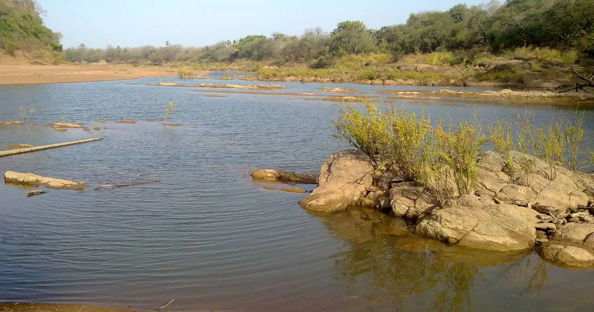 Sénégal : le Parc national du Niokolo-Koba sort de la Liste du patrimoine mondial en péril