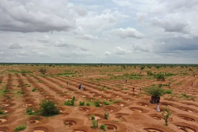 Tchad – L'ANADER forme 600 agriculteurs à Mongo : des techniques éprouvées pour booster les rendements