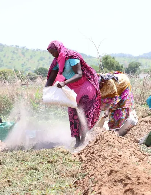 Tchad – L'ANADER forme 600 agriculteurs à Mongo : des techniques éprouvées pour booster les rendements