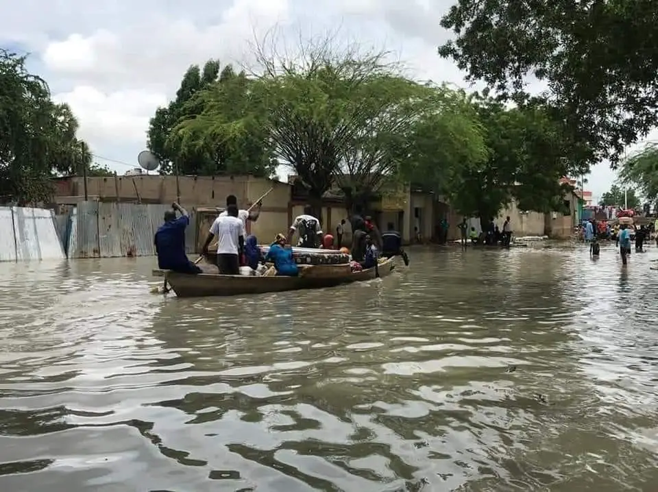 Images : OMS Tchad - Organisation mondiale de la Santé @OmsTchad