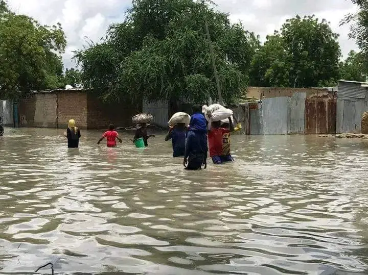 Le Tchad face à la montée des eaux