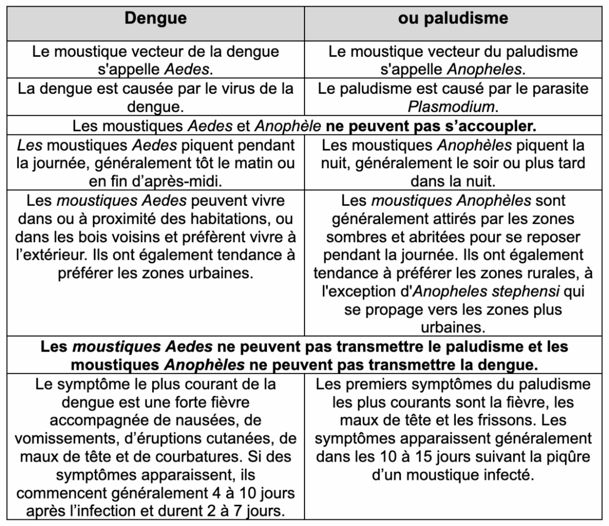 Dengue ou paludisme? Comment distinguer les maladies transmises par les moustiques