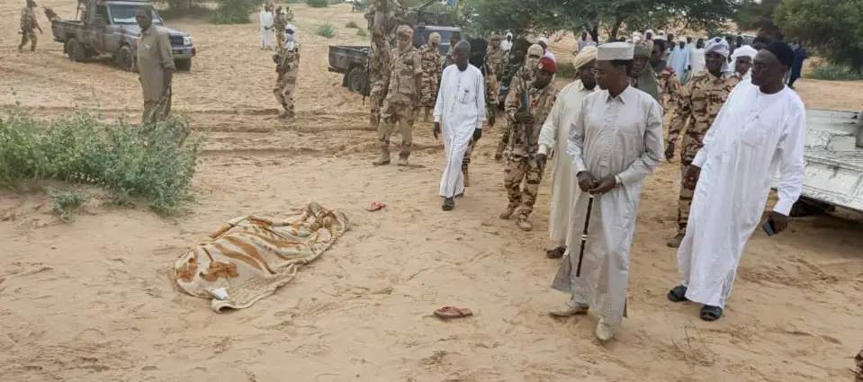 Tchad : un mort dans un conflit entre agriculteurs et éleveurs près de Mao