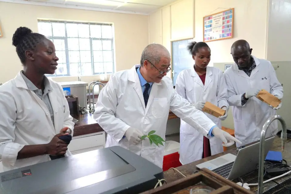 Chinese and Kenyan researchers work at the Kenya-China Joint Laboratory for Crop Molecular Biology at Egerton University in Kenya. (Photo by Huang Weixin/People's Daily)