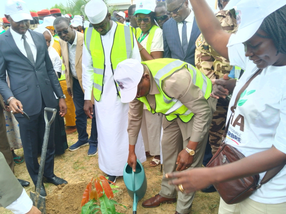 Semaine nationale de l’arbre : Le Tchad s’engage pour un reboisement à grande échelle