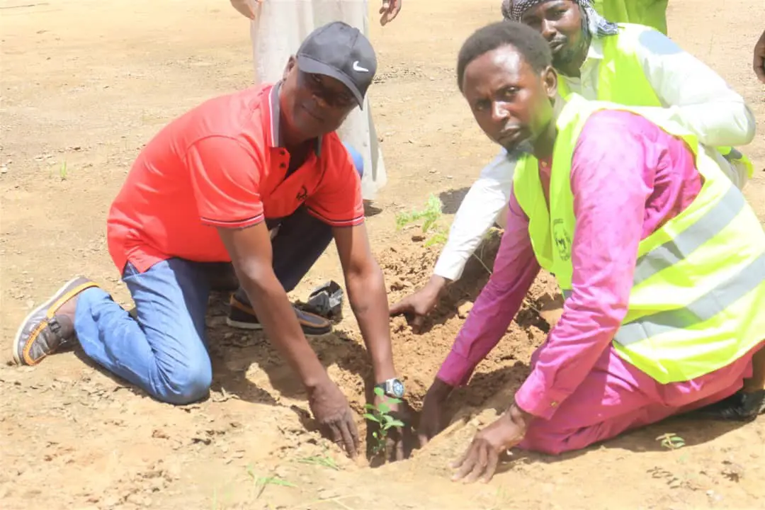 Tchad - Dar Alkher : Un souffle de vie pour le Batha à l'occasion de la Semaine Nationale de l'Arbre