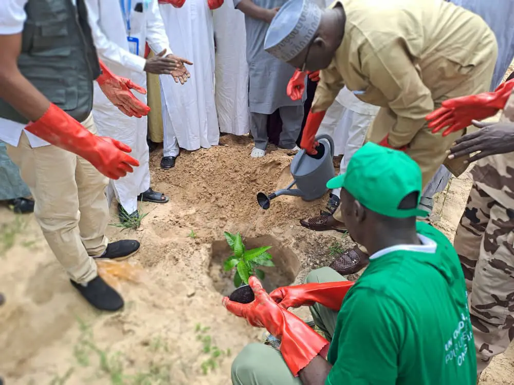 Tchad : dans la province du Lac, lancement de la Semaine nationale de l’arbre