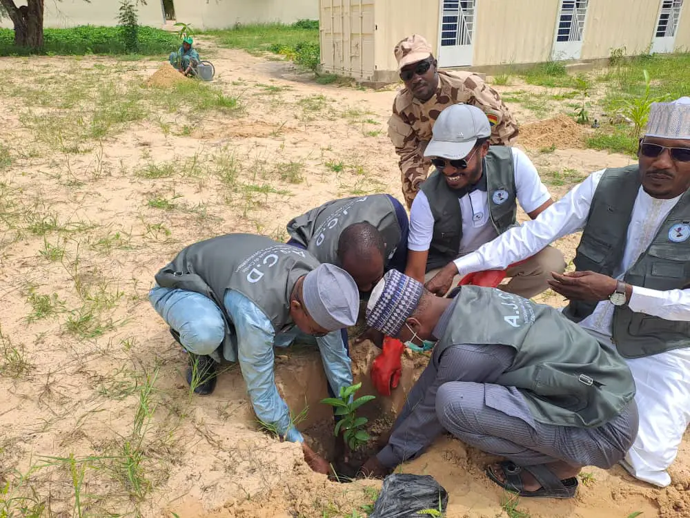 Tchad : dans la province du Lac, lancement de la Semaine nationale de l’arbre