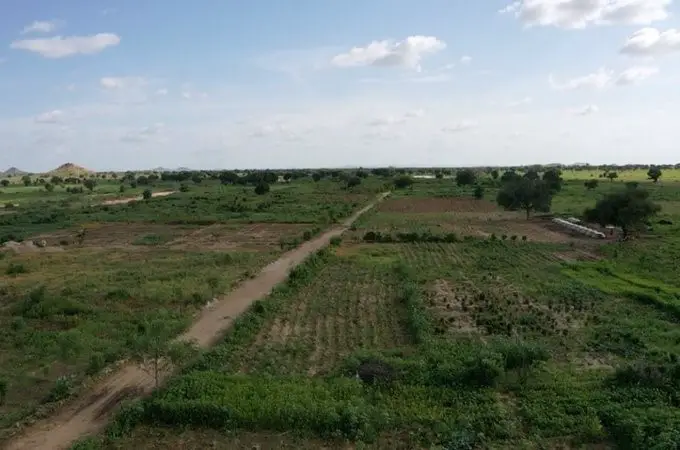 Tchad : Les murs de pierre et le seuil d'épandage de Tandou