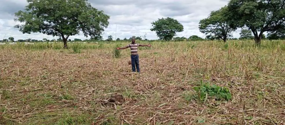 Tchad : le comité rencontre les victimes des dégâts causés par les éléphants dans la Manbague