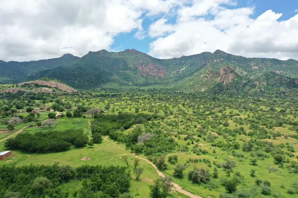 Tchad : La forêt de Tabo et sa mare pastorale, des exemples remarquables de revitalisation écologique