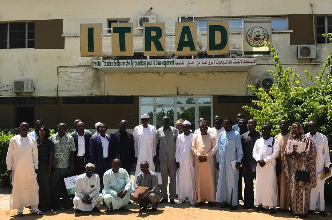 Tchad : L'ITRAD et les universités d'Ati et Sarh unissent leurs efforts pour le développement agricole