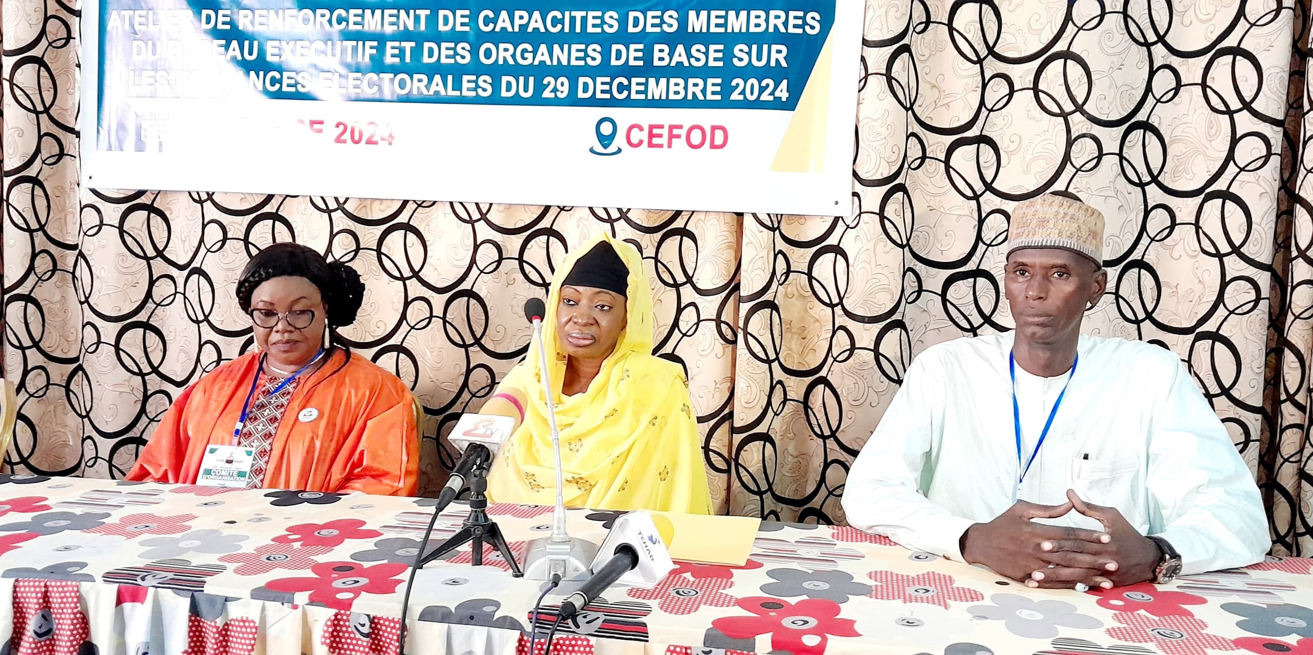 Tchad : Le Parti VIVA RNDP forme ses membres sur les textes électoraux