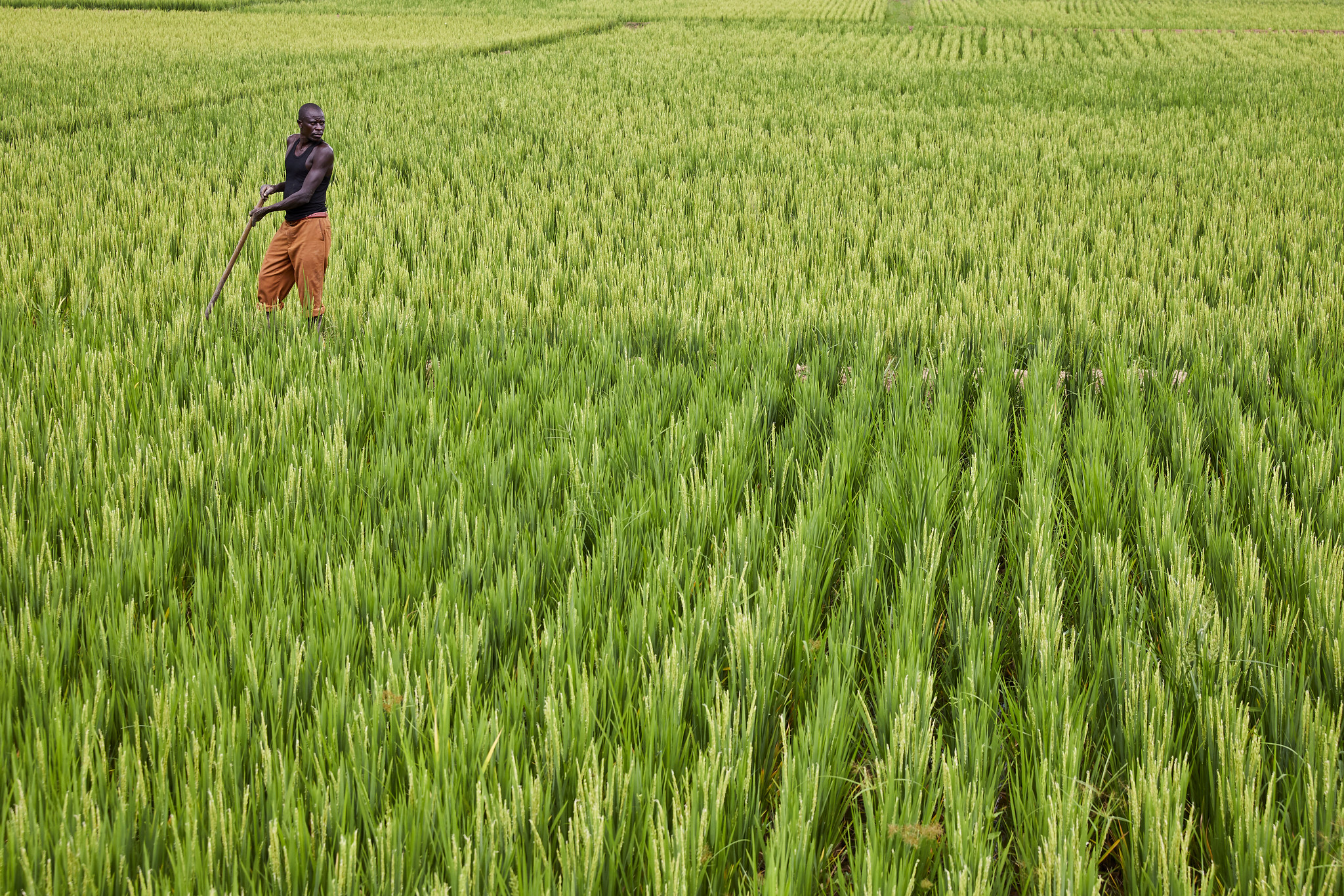 Burundi - Rwanda : 323 millions $ pour développer l’agriculture, les transports et les échanges commerciaux