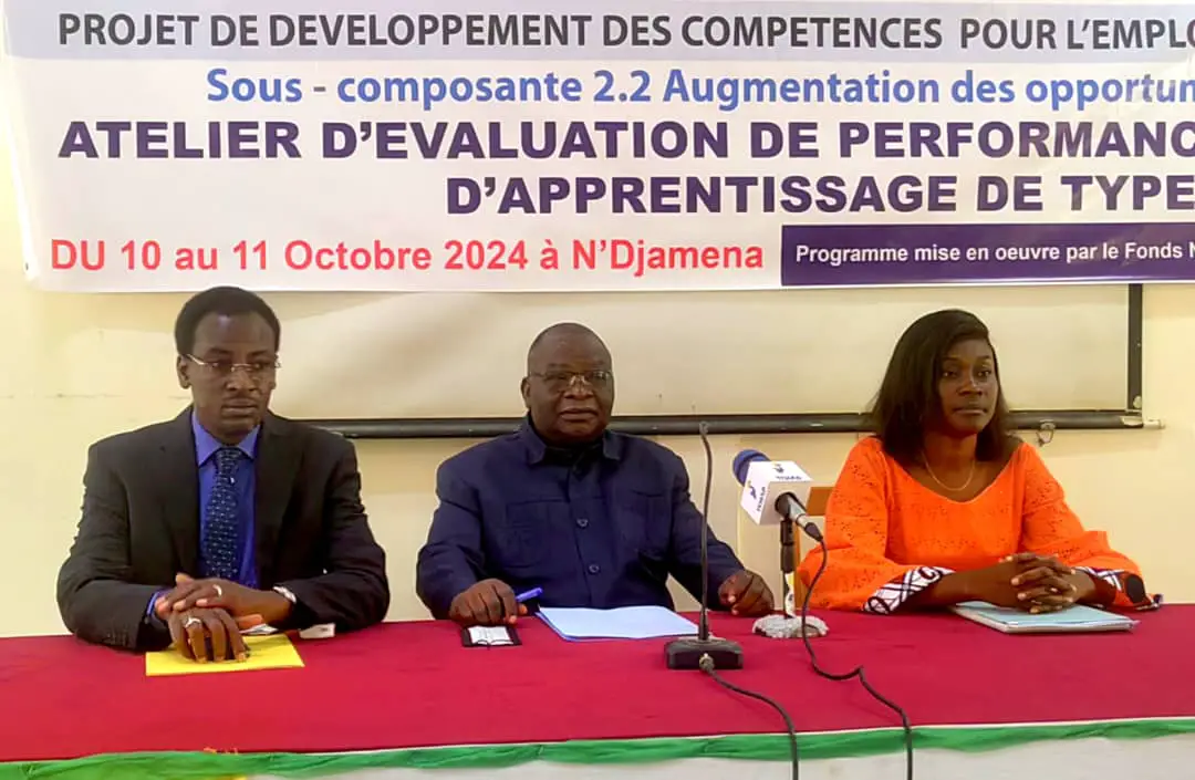 Tchad : le PDCEJ organise un atelier d'évaluation du Programme d'apprentissage dual avec le FONAP