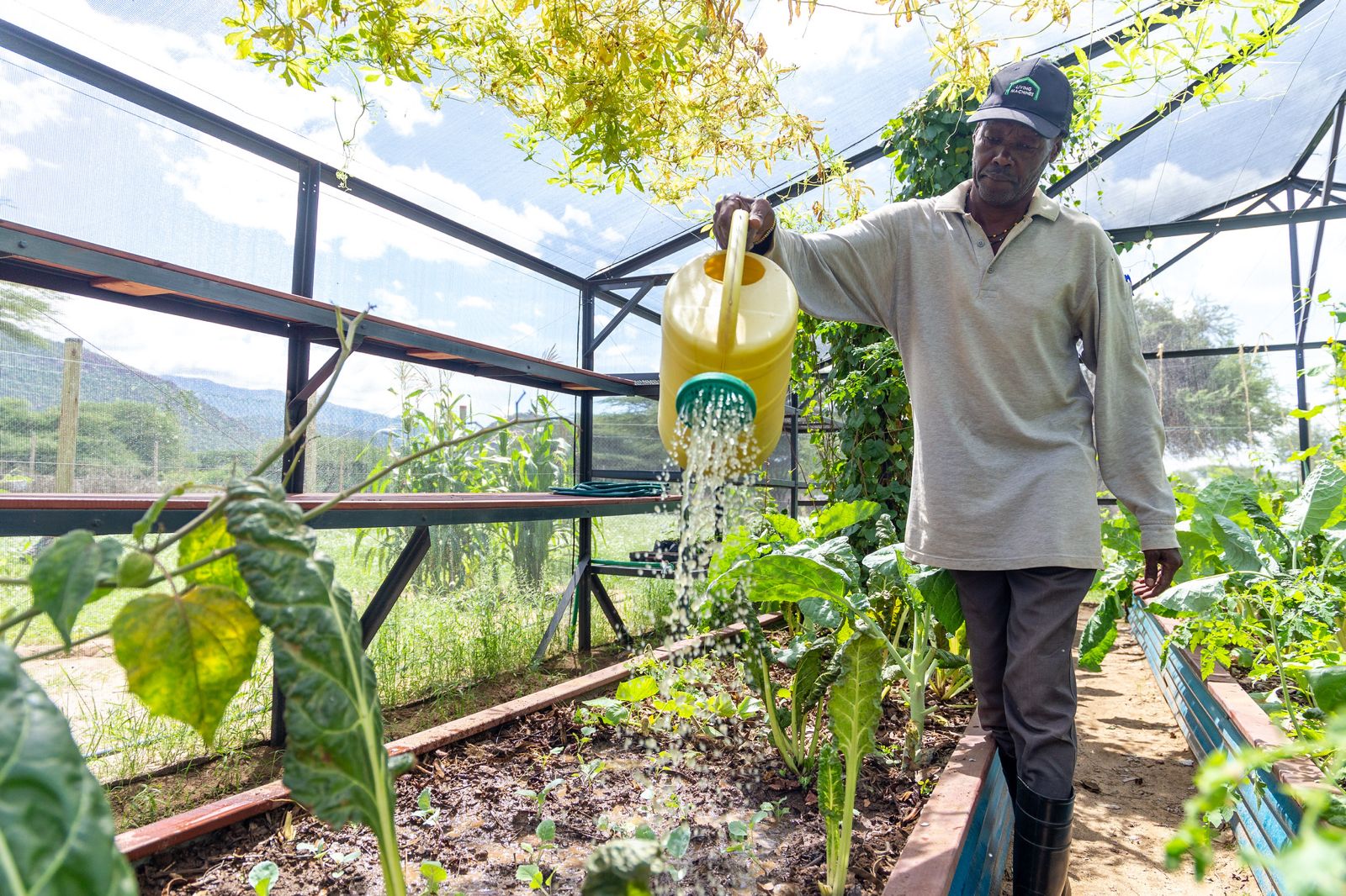 Rwanda : la BAD et le Fonds Vert soutiennent des projets verts et climato-résilients