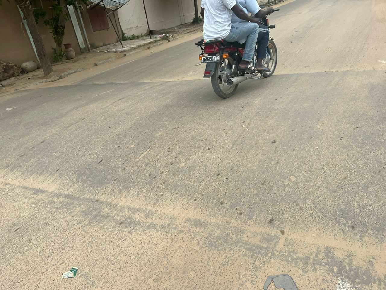 Tchad : à N'Djamena, des dos d'ânes non peints à l'origine des cas d'accidents